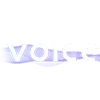 voice